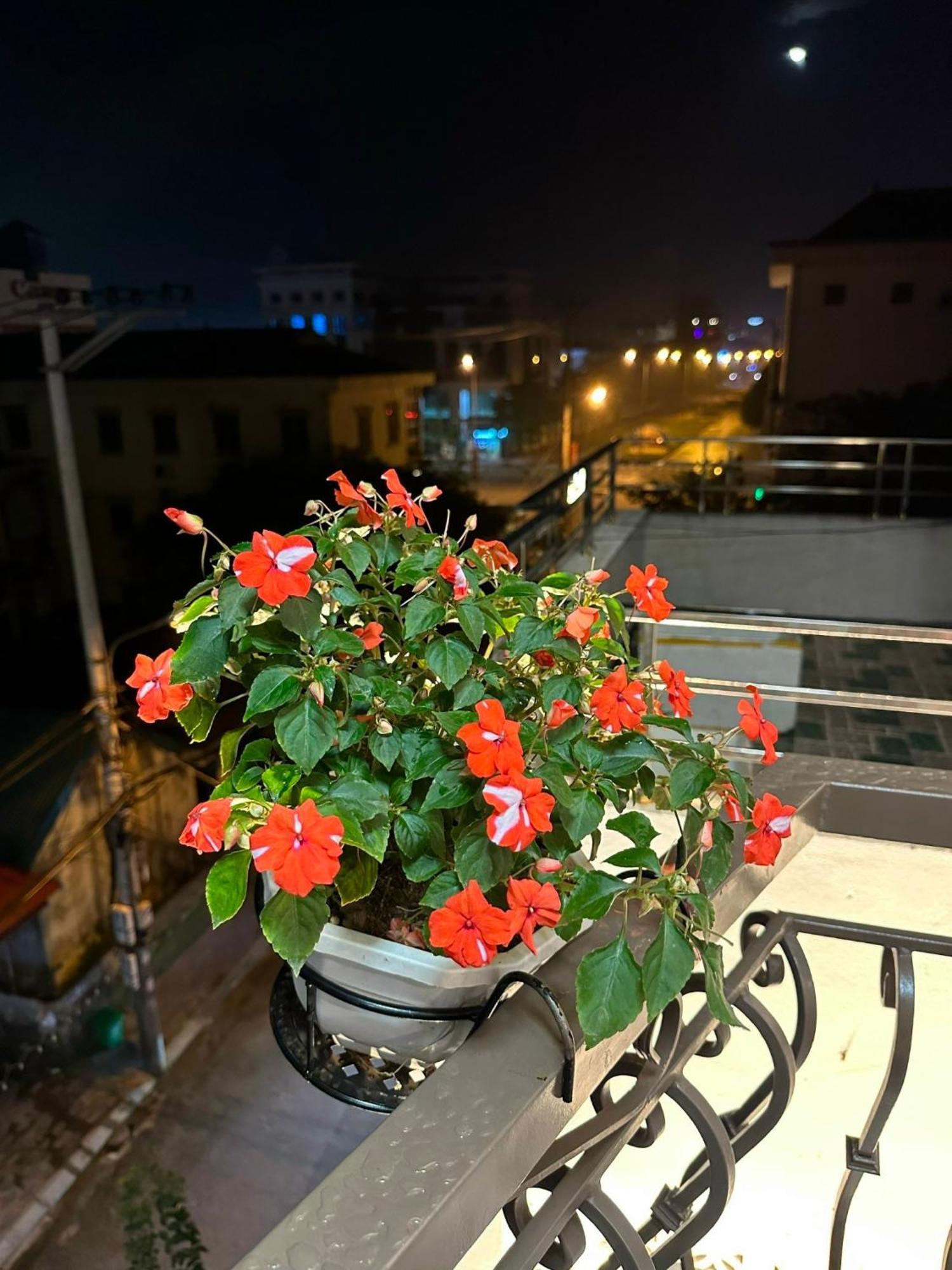 Dolce Mia Home Ninh Bình Extérieur photo